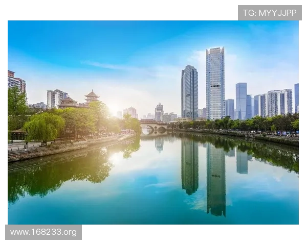 威博达：引领行业创新发展的卓越企业品牌